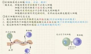 2021生物选择性必修一知识点总结